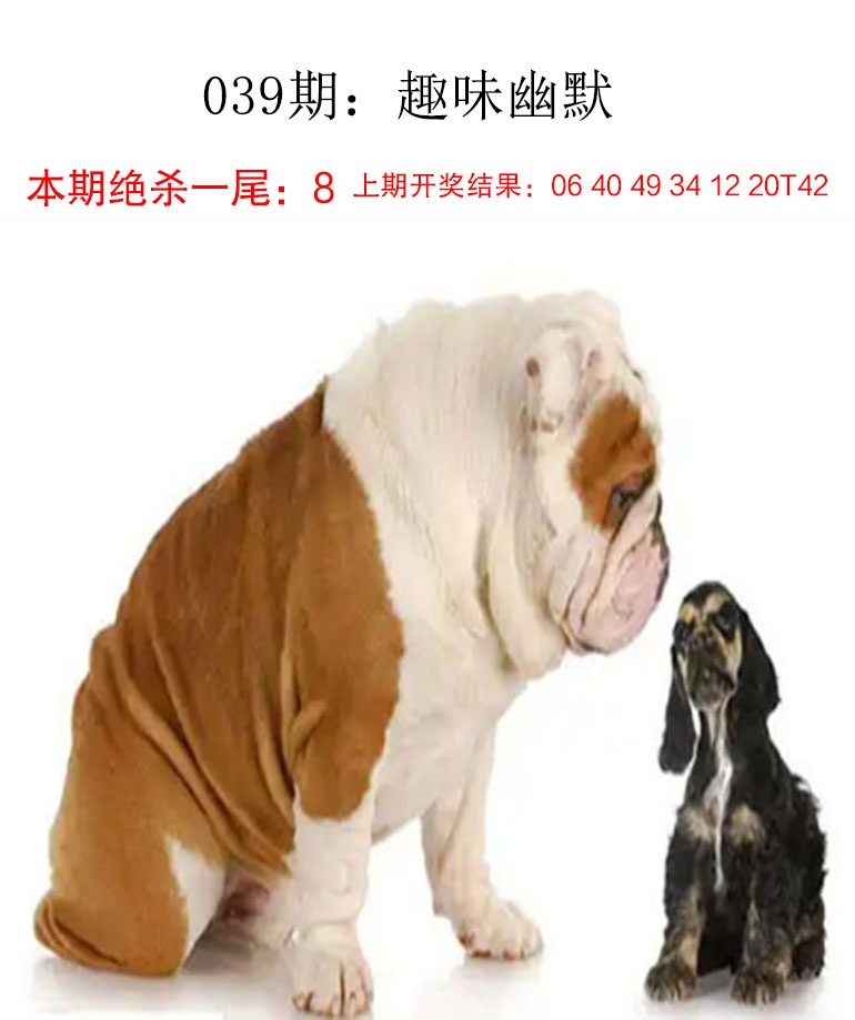 039期趣味幽默[图]