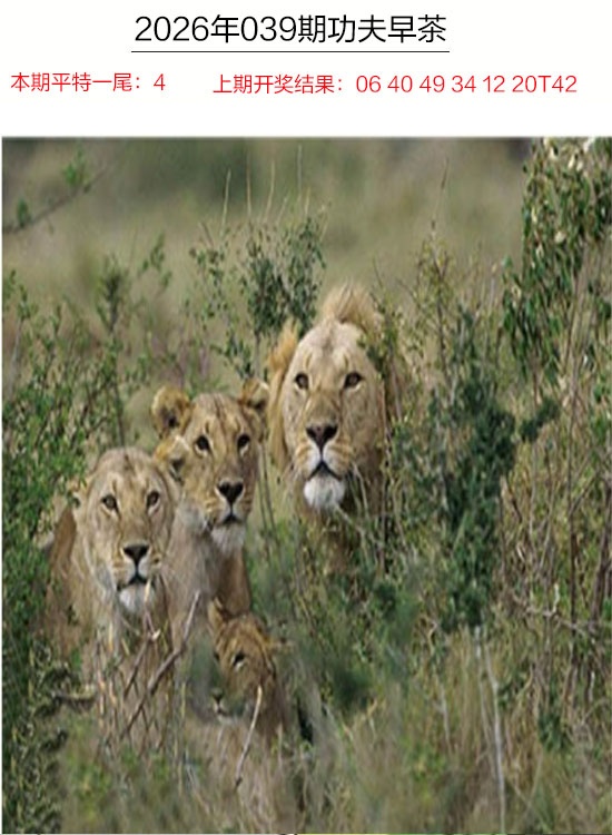 039期功夫早茶[图]