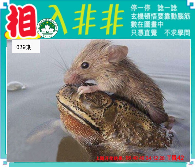 039期相入非非[图]