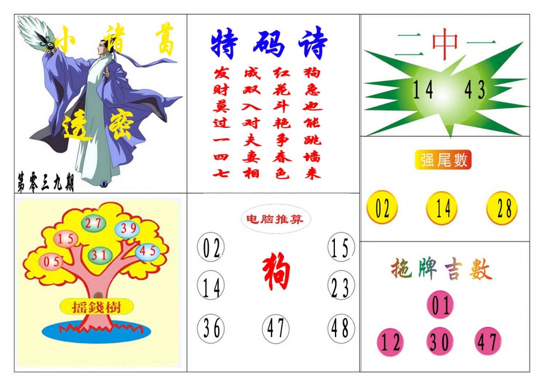 039期小诸葛[图]