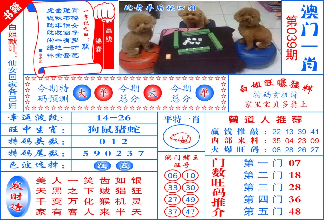 039期澳门东北虎[图]