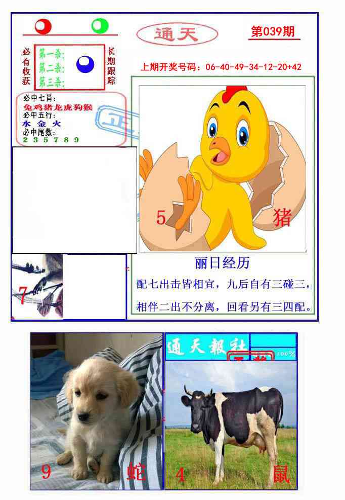 039期通天杀波图2[图]