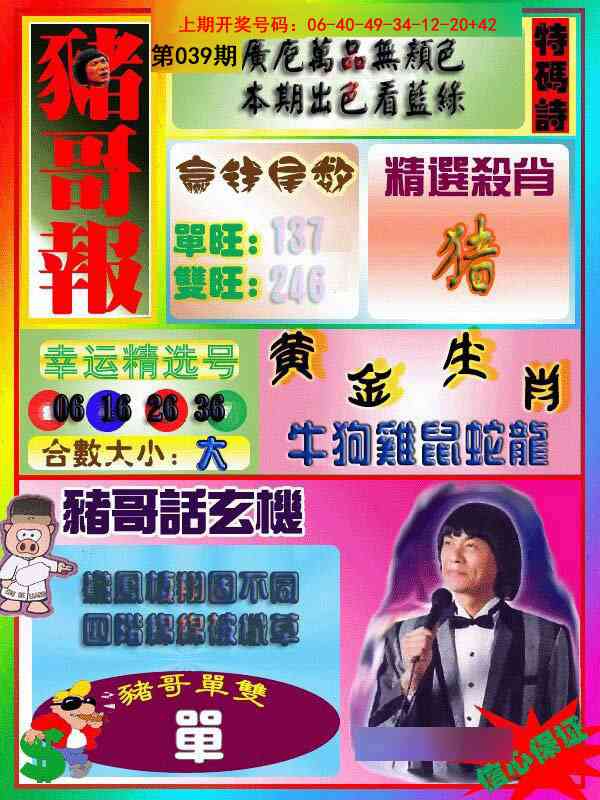039期猪哥报[图]