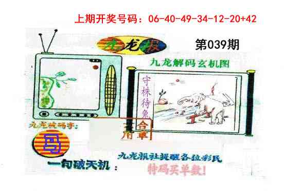 039期九龙报[图]