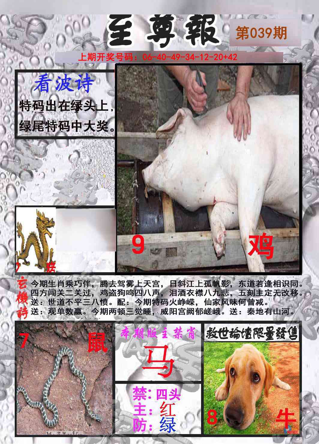 039期至尊报[图]