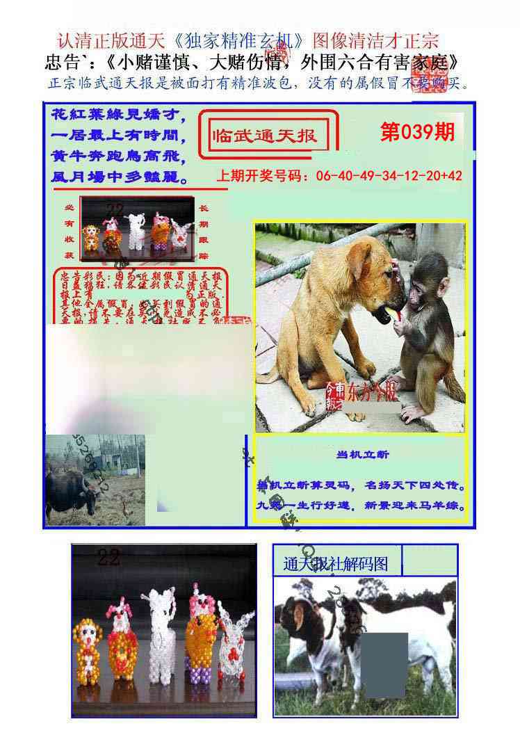 039期临武通天报[图]