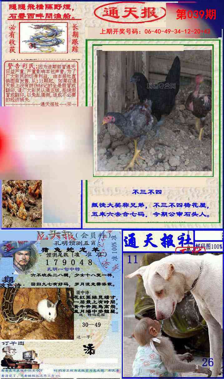 039期实力通天报[图]