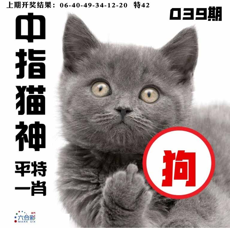 039期中指猫神[图]