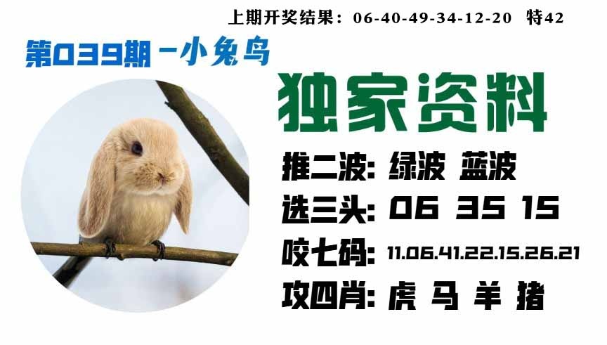 039期小兔鸟[图]